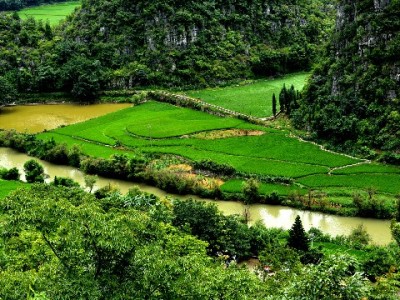 羊小咩提现失败图片引关注 出财小神优化流程解用户焦虑