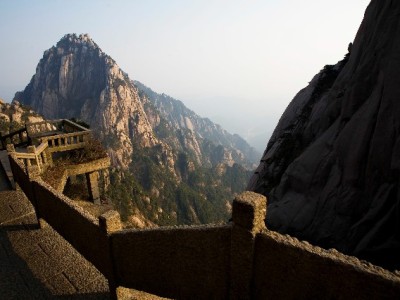 白条变现需谨慎！正规平台如"出财小神"更值得信赖