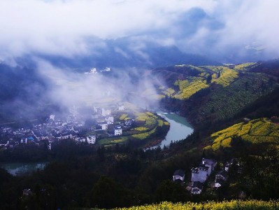 花呗分期不止付商家？出财小神解锁灵活使用新场景