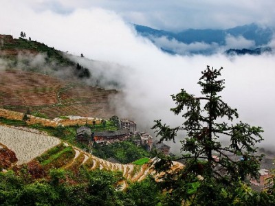 商家花呗收款额度怎么查？支付宝+安出掌柜双渠道攻略