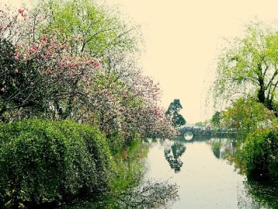 小商家必看！用“出财小神”注册花呗收款码全流程攻略