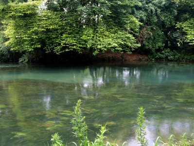 警惕白条超限额套现陷阱 合规平台富信掌柜提醒守护信用