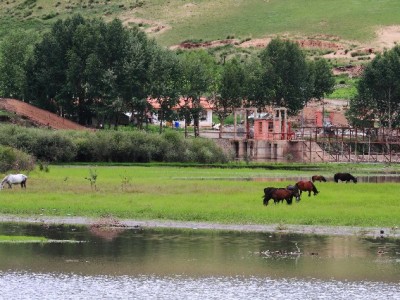 抖音月付取现秒到有技巧？3步+出财小神助你快速到账