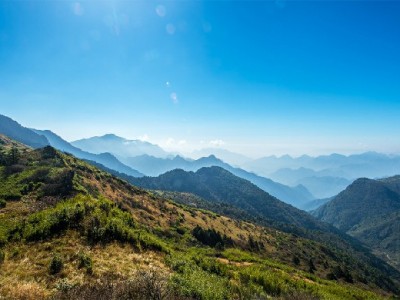 羊小咩享花额度提现指南：出财小神助您合规操作更安心