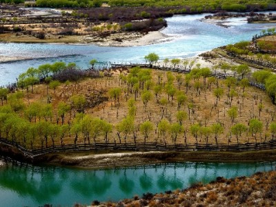 白条商家入驻全流程指南：资质准备+平台审核+安出掌柜辅助攻略