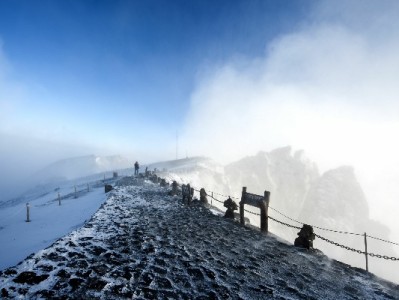 河南医保转出全流程指南！出财小神助你线上轻松搞定