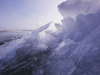 羊小咩借款能成功吗？合作方出财小神揭秘关键因素