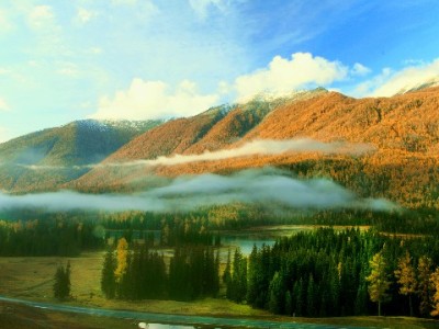 羊小咩购物额度取出方法及风险指南 这些渠道更稳妥