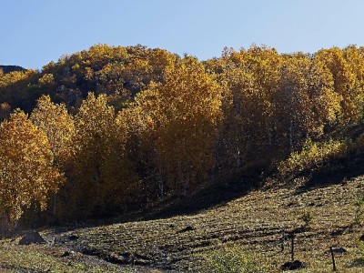 商家因未开通花呗分期流失客群？富信掌柜助力轻松搞定金融服务
