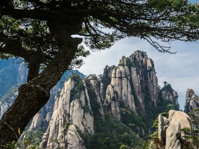 花呗分期免费提现次数怎么查？出财小神帮你理清权益门槛