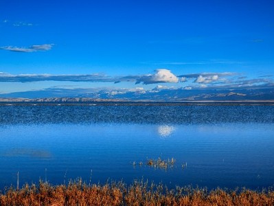 白条店铺套现暗藏多重风险 正规平台“安出掌柜”提醒合规用信