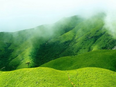 白条套现给他人隐患多！安出掌柜提醒合规用款更安心