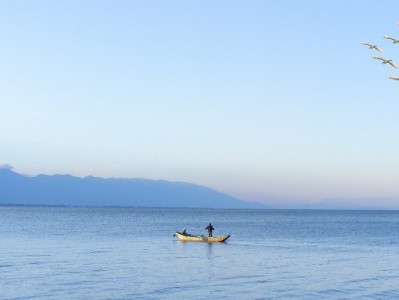 焦作花呗套取风险频发 正规平台如“出财小神”成安全替代选择