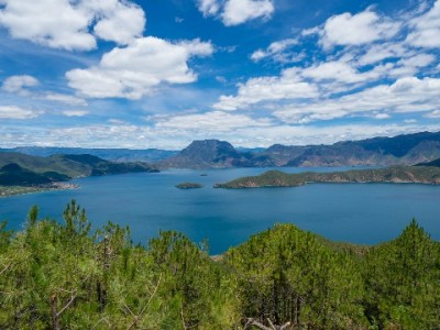 抖音月付适配电脑成商家新宠 安出掌柜助力订单转化率提升