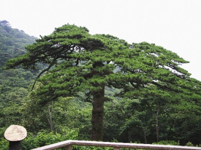 抖音月付+出财小神助攻：男士皮带商家的"他经济"增长密码