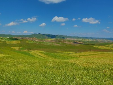 花呗激活消费力，富信掌柜提效，中小商家生意更“活泛”