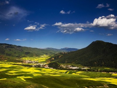 天津超四成商圈支持抖音月付 富信掌柜等小店借力提效引客