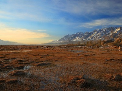 花呗套现风险重重！正规周转可选安出掌柜等合规方案