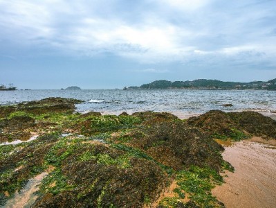 抖音月付能扫微信收款码吗？聚合支付工具给出新解法