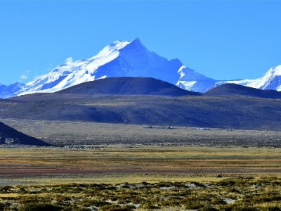半夜套花呗遇骗记：警惕非正规渠道，正规服务如安出掌柜更可靠