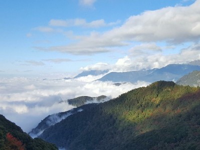 出财小神支招：花呗24期免手续费，大额消费无压力轻松购