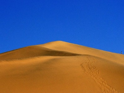 羊小咩星期天能出库吗？三大因素+出财小神技术助力时效解析