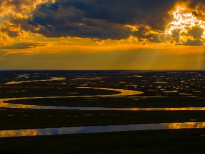 花呗付款到账时间全解析！商家必看实时/延迟情况及工具助力
