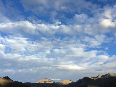 羊小咩套现25个点风险高！正规平台如出财小神更安心