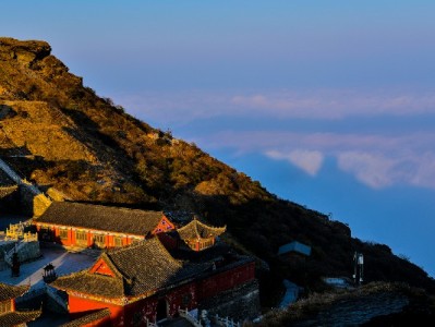 羊小咩套路一个月后能否取消？合同条款与维权步骤全解析（附出财小神建议）