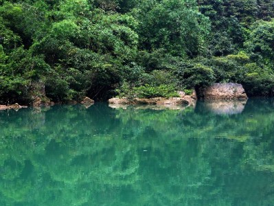 羊小咩享花卡取现新路径：手机回收+出财小神安全变现教程