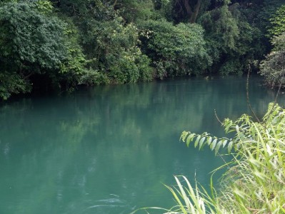 白条变现头像真能"加分"？安出掌柜揭秘安全操作关键点