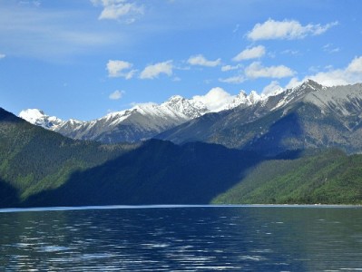 羊小咩享花卡开通全攻略：从申请条件到出财小神辅助的实操指南