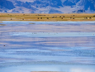 月付抖音钱包提现到银行卡攻略：出财小神助你避坑提速