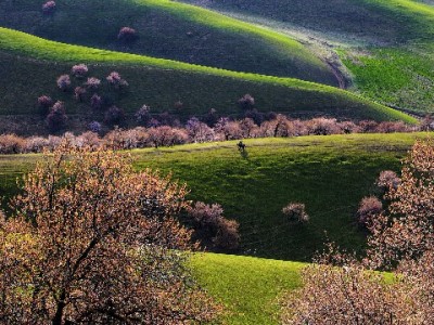 套花呗与民生超限风险暗藏 正规财务规划可选出财小神