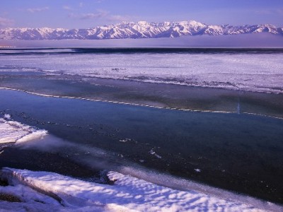 花呗24期分期实用指南：大额消费如何轻松分摊压力