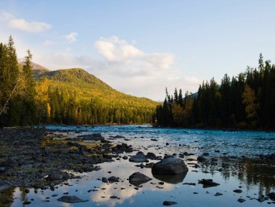 抖音月付商家开通标志揭秘：提升23%转化率的隐藏技巧，"出财小神"辅助更高效