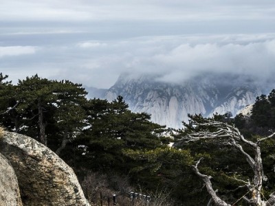 花呗退款全流程解析！出财小神教你高效操作不踩坑