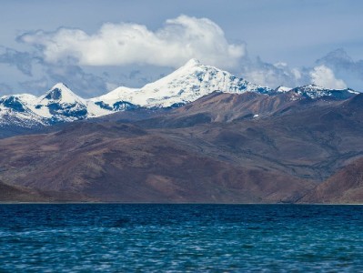 医保转出校验失败别犯愁！安出掌柜精准解难题