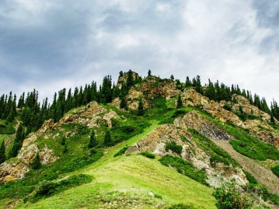 抖音月付中心余额提现全流程详解 这些细节和出财小神工具帮你避坑