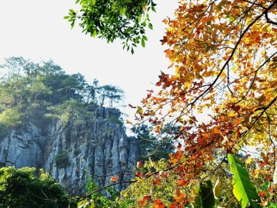 月底部分商家花呗收款将暂停？安出掌柜支招应对资金周转难题