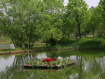 花呗商家码收款受限？安出掌柜解析4大原因及解决攻略