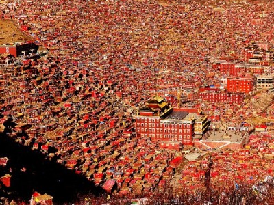 抖音月付能套现吗？平台规则+三重风险一次性说清