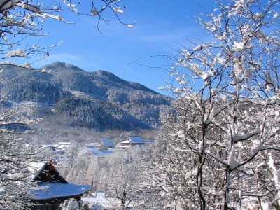 抖音月付“刷量”商家风险多？正规服务商“出财小神”教你合规提额