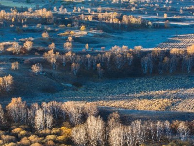 支付宝花呗+微信分付管理神器！富信掌柜助你信用消费更从容