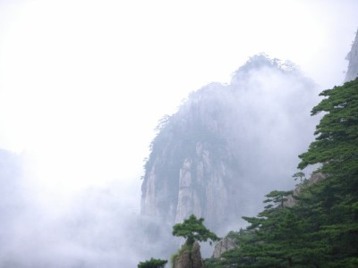 拉卡拉商家遇花呗支付梗阻？安出掌柜聚合方案解困局