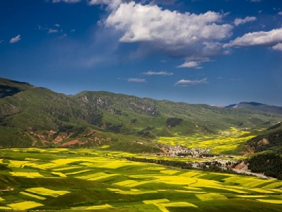 "出财小神"涉案！揭秘医保套现四大套路及多重风险