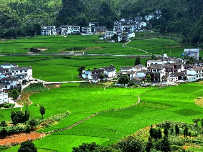 出财小神支招：花呗24期分期如何轻松化解大额消费压力