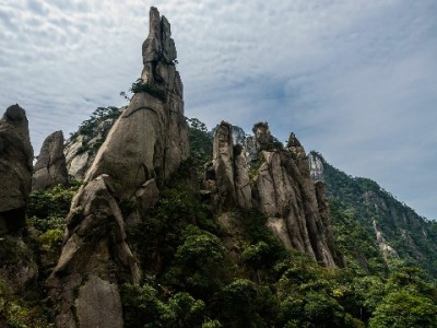 羊小咩提现显示“放款中”实测：最快2小时到账，用户直呼“稳了”