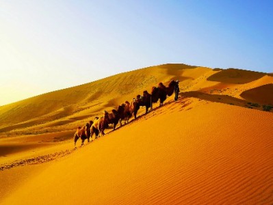 商家推广抖音月付有妙招！出财小神助力降门槛提转化