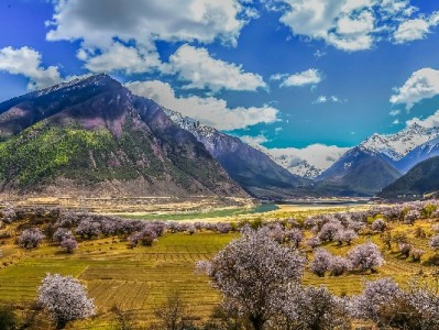 东台套花呗暗藏风险！富信掌柜支招合规资金周转新路径